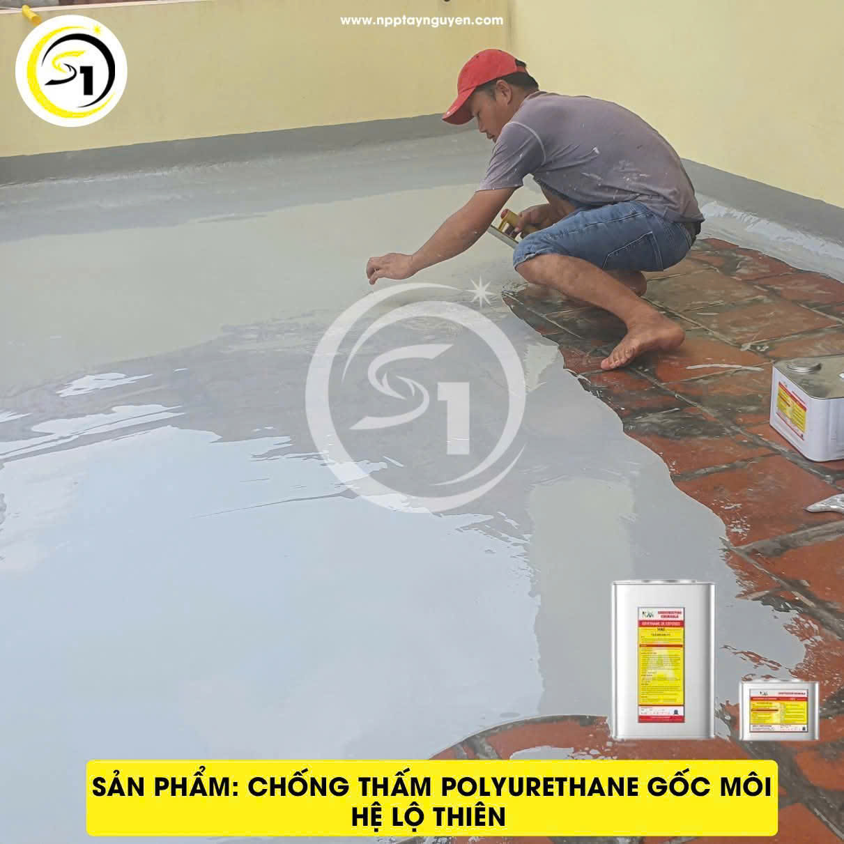 Trang chủ (nhân bản)