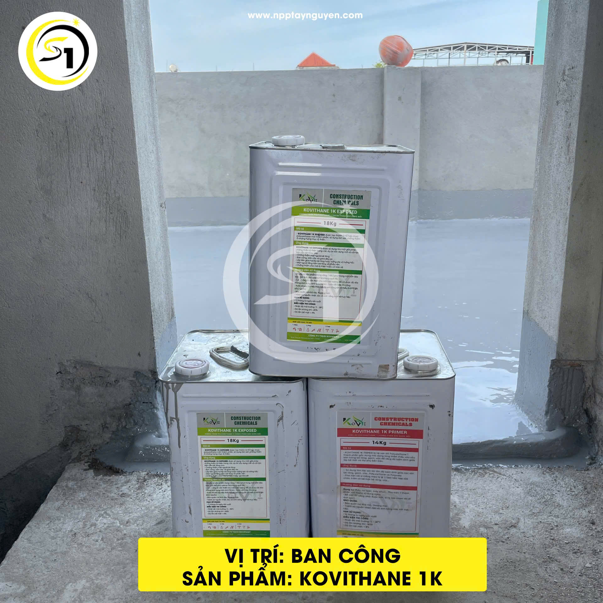 Trang chủ (nhân bản)