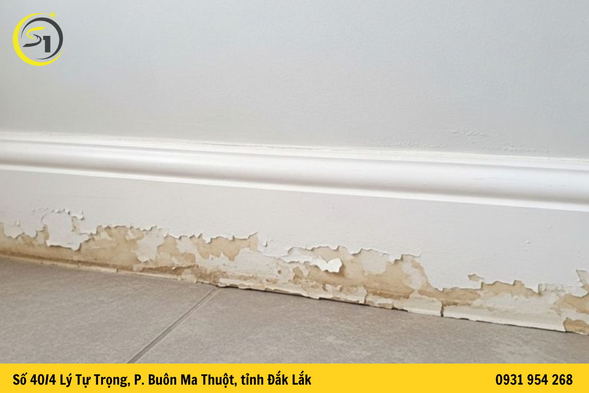 Phân Tích Kỹ Thuật 5 Vị Trí Trọng Yếu Gây Thấm Dột Trong Nhà Vệ Sinh